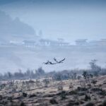 Sleep To The Songs Of The Rare Cranes In Bhutan