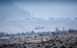 Sleep To The Songs Of The Rare Cranes In Bhutan