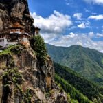 Tick The Tigers Nest