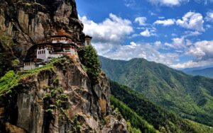 Tick The Tigers Nest