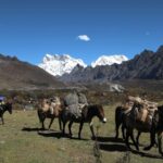 Peaks On The Right Of Kechey La 2