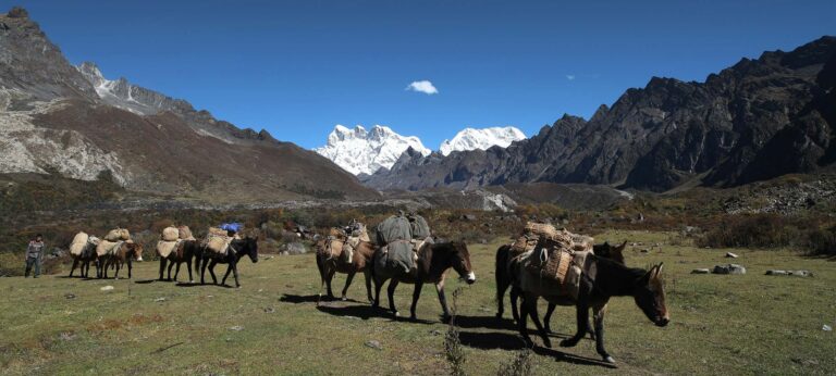 Trekking Tours Peaks On The Right Of Kechey La 2
