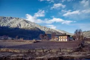 Phobjikha Valley By Alicia Warner 34