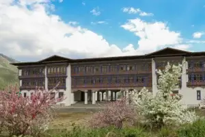 Ugyen Tenzin TvLVIkTd9uI Unsplash