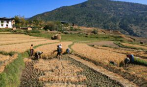Your Self Sustaining Sanctuary: Find Peace And Freedom In Bhutan