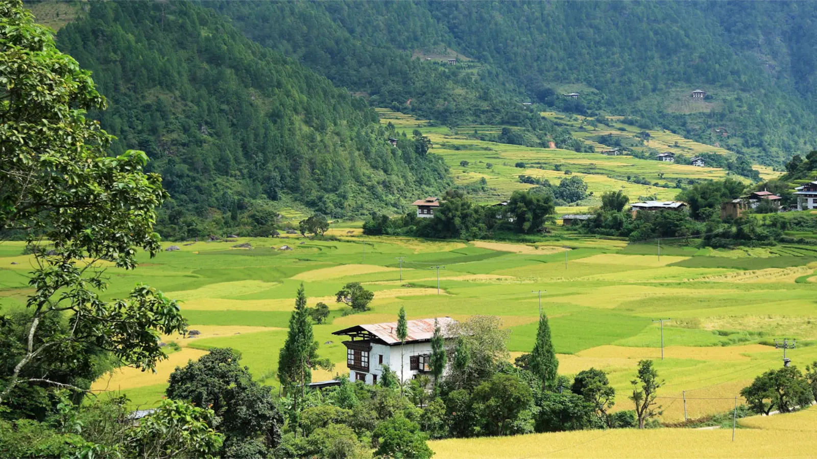 Low Volume High Value Why Bhutan