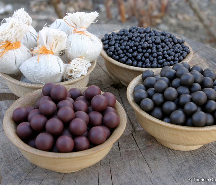 Bhutanese Traditional Herbal Medicine