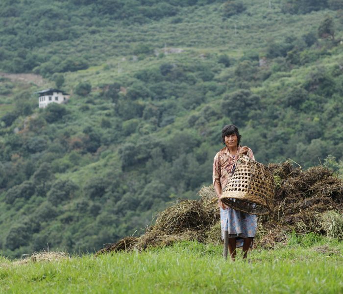Experience Rural Life