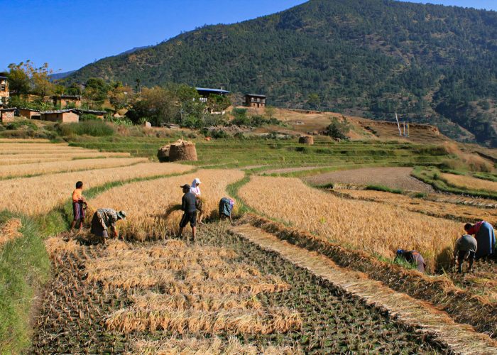 Your Self Sustaining Sanctuary: Find Peace And Freedom In Bhutan