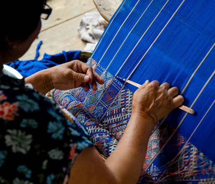 Natural Dyeing Experience